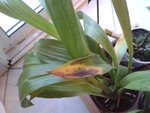20170520_212137-min.jpg