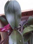 20170520_212153-min.jpg