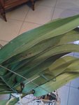 20170520_212215-min.jpg