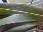 20170520_212316-min.jpg