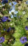 IMG_20170521_150948.jpg