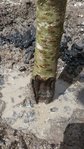 20170519_140848.jpg