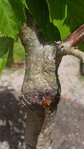 20170519_1359281.jpg