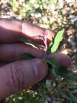 IMG_3352.jpg