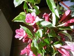 P1000207.JPG