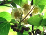 DSCF2280.JPG
