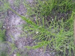 20170523_202504.jpg