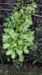 20170522_102930.jpg