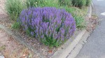 20170601_193617.jpg