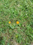 20170603_130035-min.jpg