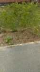 IMAG0554.jpg