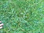 IMG_0373.JPG