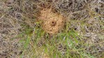 20170603_154259.jpg