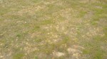 20170603_154250.jpg