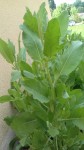 20170605_162607.jpg