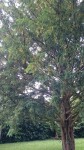 DSC_0117.jpg