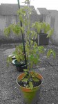 20170607_210105.jpg