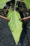 20170607_210114.jpg