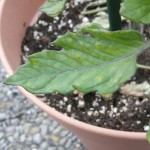 20170607_210129.jpg