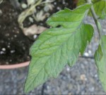 20170607_210141.jpg