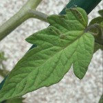 20170609_094629.jpg