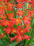 Photo 169b.jpg
