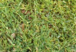 IMG_20170609_104745.jpg