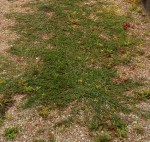 IMG_20170609_104405.jpg