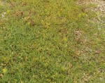 IMG_20170609_104448.jpg