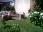IMG02161-20170610-1048.jpg