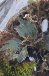 20170610_191410.jpg