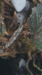 20170610_191425.jpg