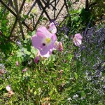 Resized_20170611_122135.jpg