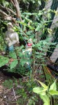 20170612_121114  2.jpg