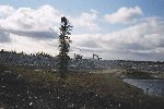 48f8ee052509a.2.jpg