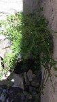 20170617_124859t.jpg