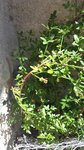 20170617_124838t.jpg