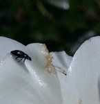 20170617_155222-1-1.jpg