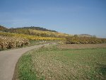 PA180223.jpg