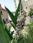 20170622_142344_resized.jpg