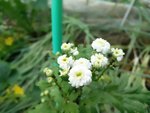2017-06-23 19.02.11.jpg