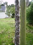 PICT1261 [Résolution de l'écran].JPG