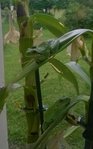 WP_20170604_18_16_29_Pro_opt.jpg