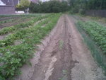IMG02256-20170627-0752.jpg