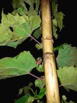 20170628_214431bis.jpg