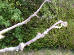 P1010226.JPG
