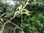 P1010228.JPG
