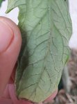 20170702_110753.jpg