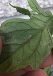 20170702_110643.jpg