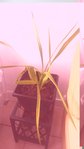 20170615_071849_20170615_072132.jpg